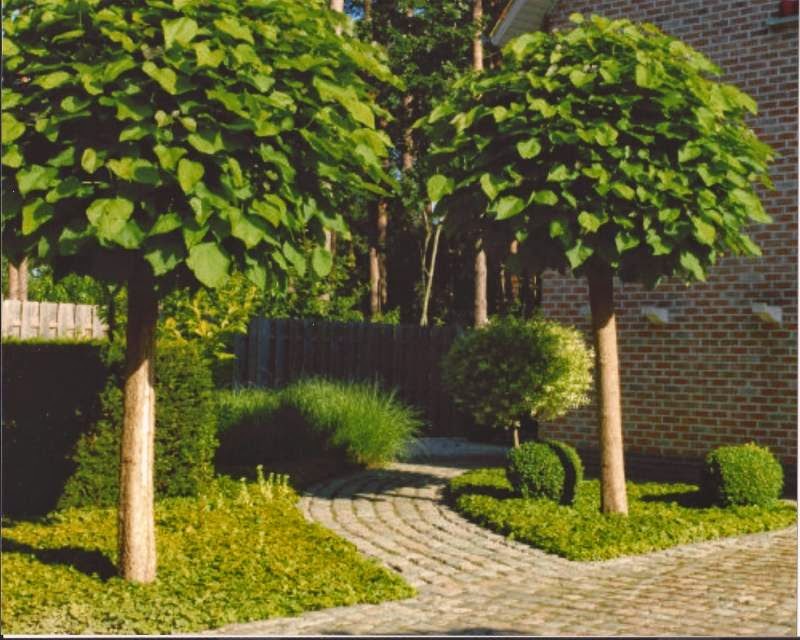 Orca Tree & Lawn Care Ltd. | 3-484 Mill Rd, Qualicum Beach, BC V9K 1J6, Canada | Phone: (250) 607-7355