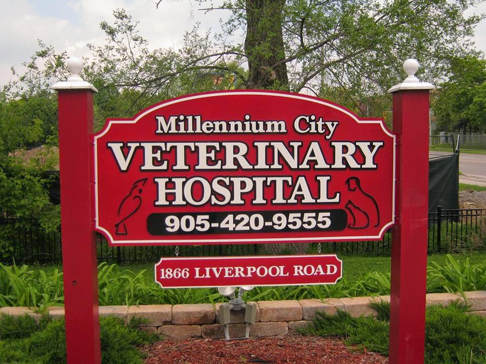 Millennium City Veterinary Hospital | 1866 Liverpool Rd, Pickering, ON L1V 1W3, Canada | Phone: (905) 420-9555