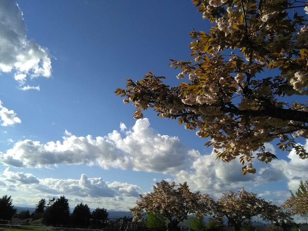 Sandy Hill Park | 35342 Sandy Hill Rd, Abbotsford, BC V3G 1J2, Canada | Phone: (604) 853-2281