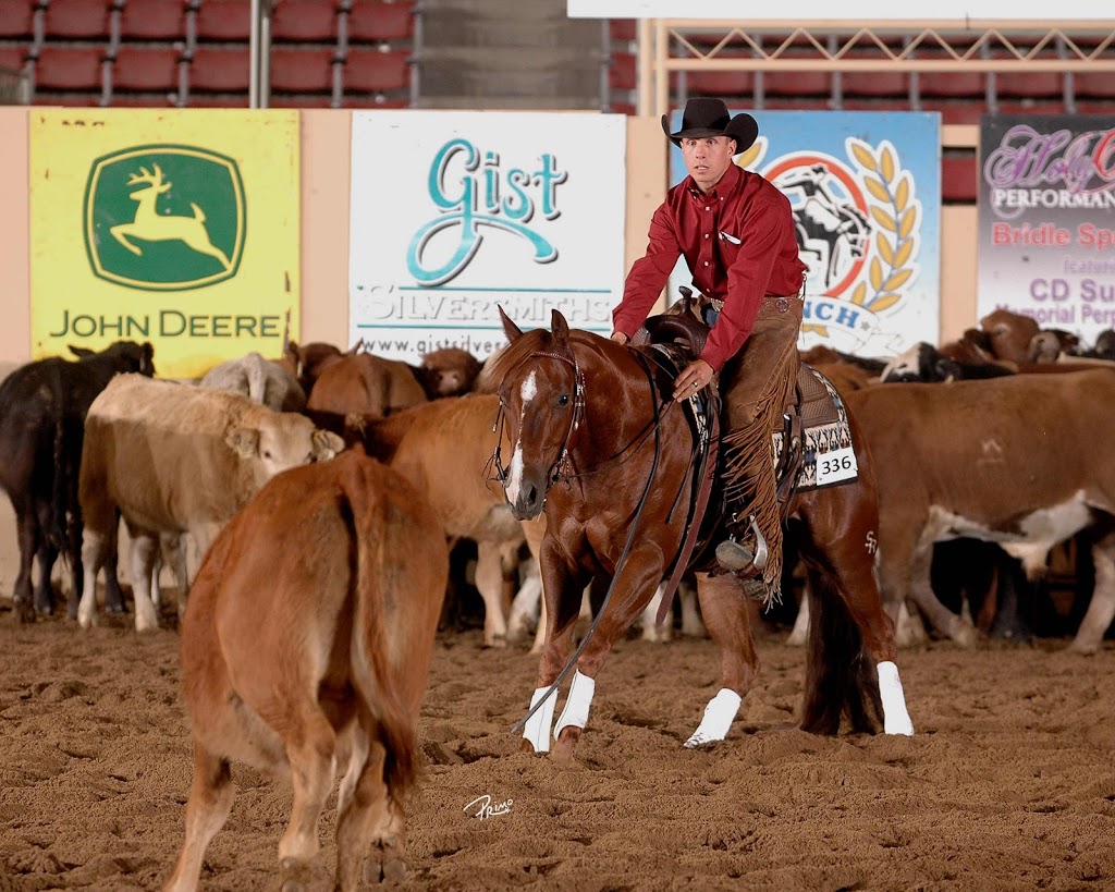 Cayley Wilson Performance Horses, Inc. | 1280 Powerhouse Rd, Abbotsford, BC V3G 1T7, Canada | Phone: (604) 300-0401