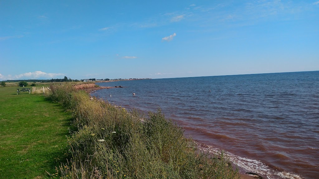 Morning Star Sea Food Store (Halibut PEI INC.) | Causeway Rd, Victoria, PE C0A 1J0, Canada | Phone: (902) 658-2361