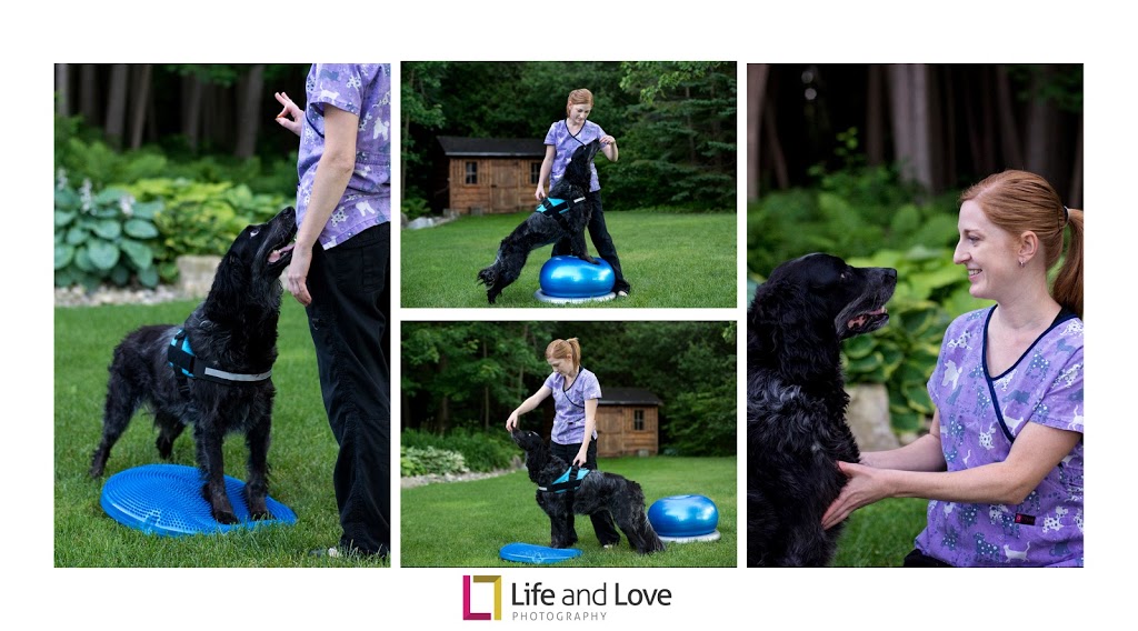 Canine Pain Relief - Mobile Animal Rehabilitation and Senior Pet | 231 Springmount Pl, Kitchener, ON N2A 3V4, Canada | Phone: (519) 835-9449