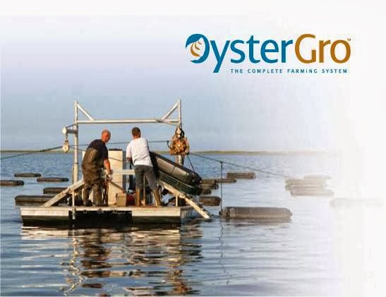 Bouctouche Bay Industries Ltd | 2147 NB-475, Saint-Édouard-de-Kent, NB E4S 4W2, Canada | Phone: (506) 743-5455
