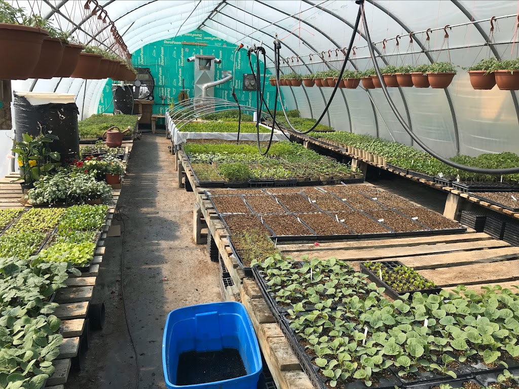 Hnatiuk Gardens | 3850 Mowat Rd, East Saint Paul, MB R2E 1B5, Canada | Phone: (204) 297-0857