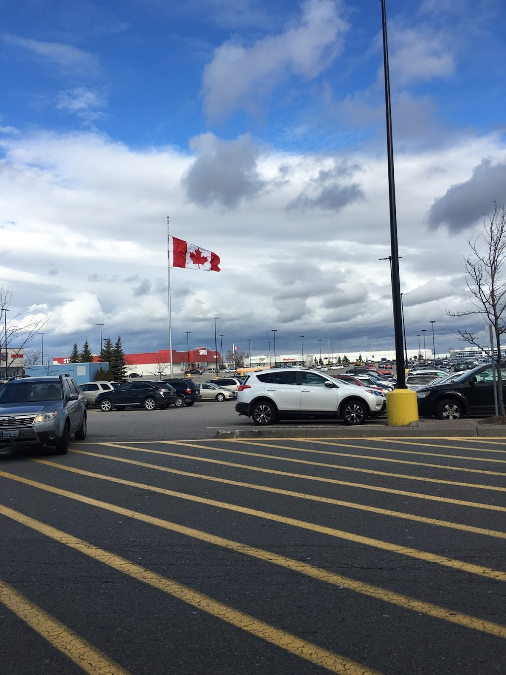 Carters | 230 The Boardwalk, Kitchener, ON N2N 0B1, Canada | Phone: (519) 578-7336