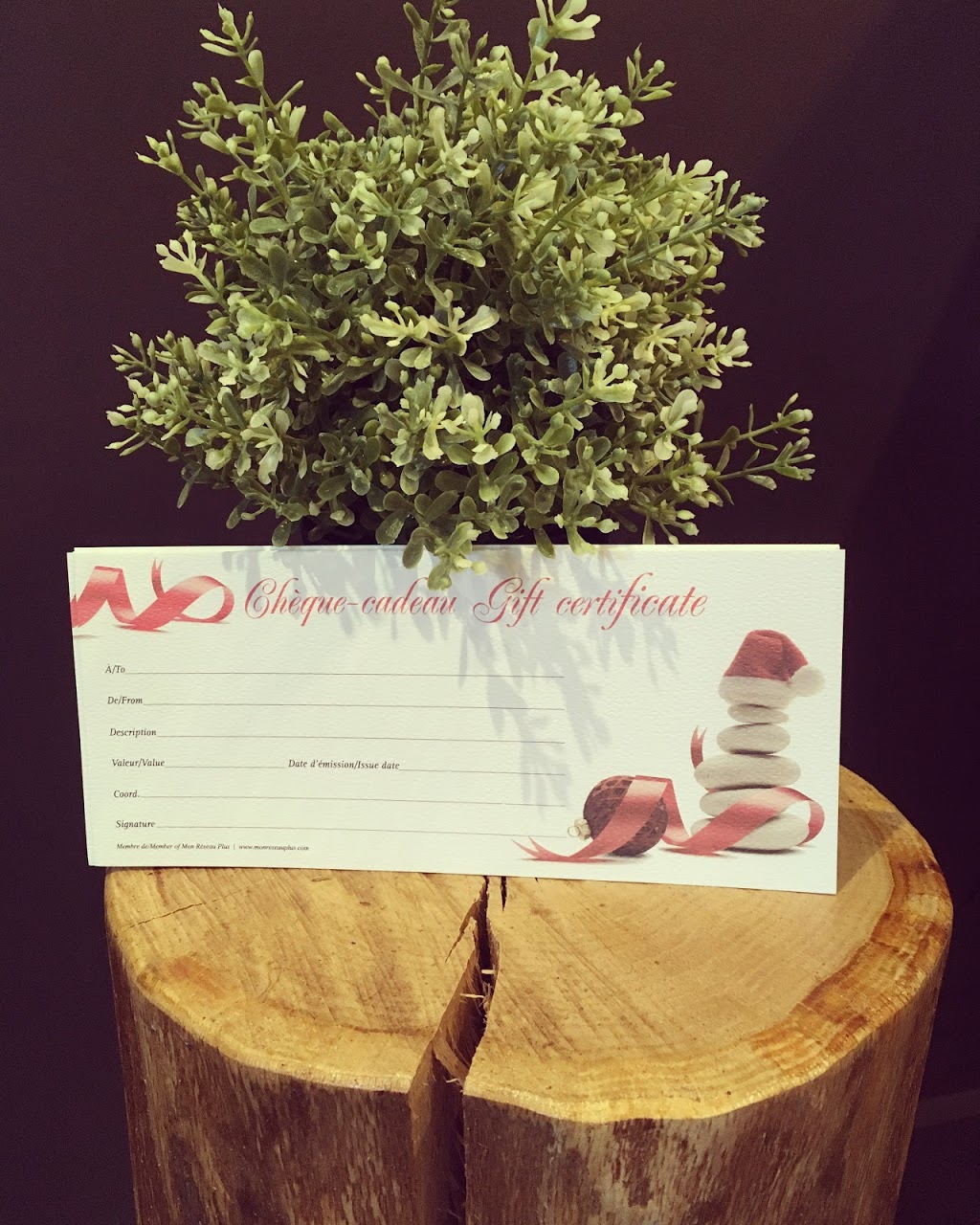 Mélissa Lefebvre Massothérapie | 371 Rue de la Visitation, Saint-Charles-Borromée, QC J6E 4N8, Canada | Phone: (450) 271-0826