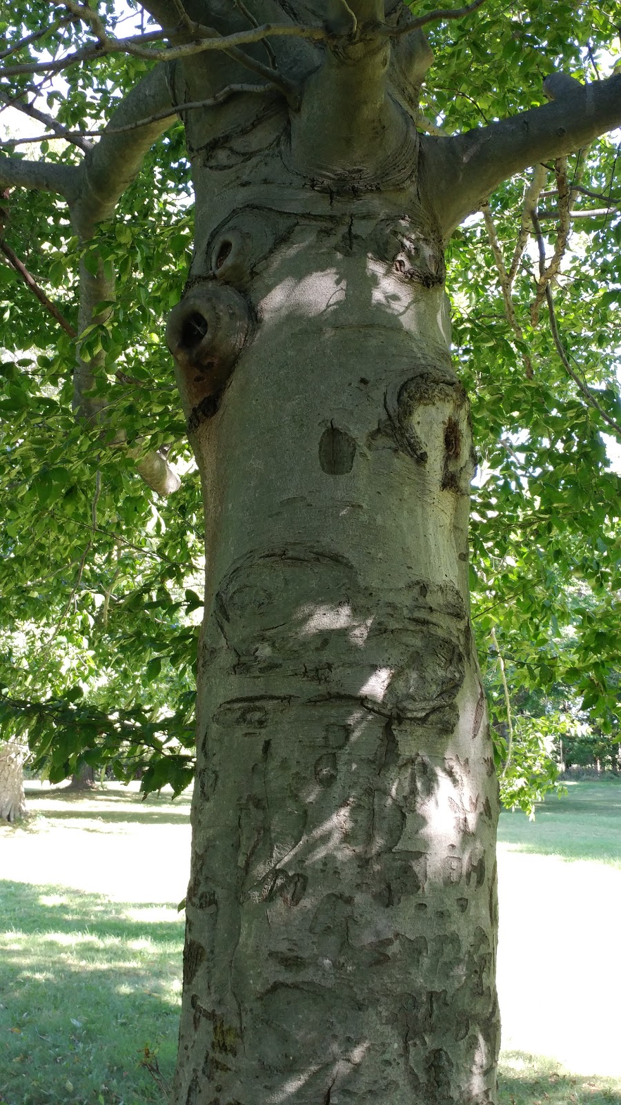 Southwold Earthworks National Historic Site | 7930 Iona Rd, Fingal, ON N0L 1K0, Canada | Phone: (905) 468-6614