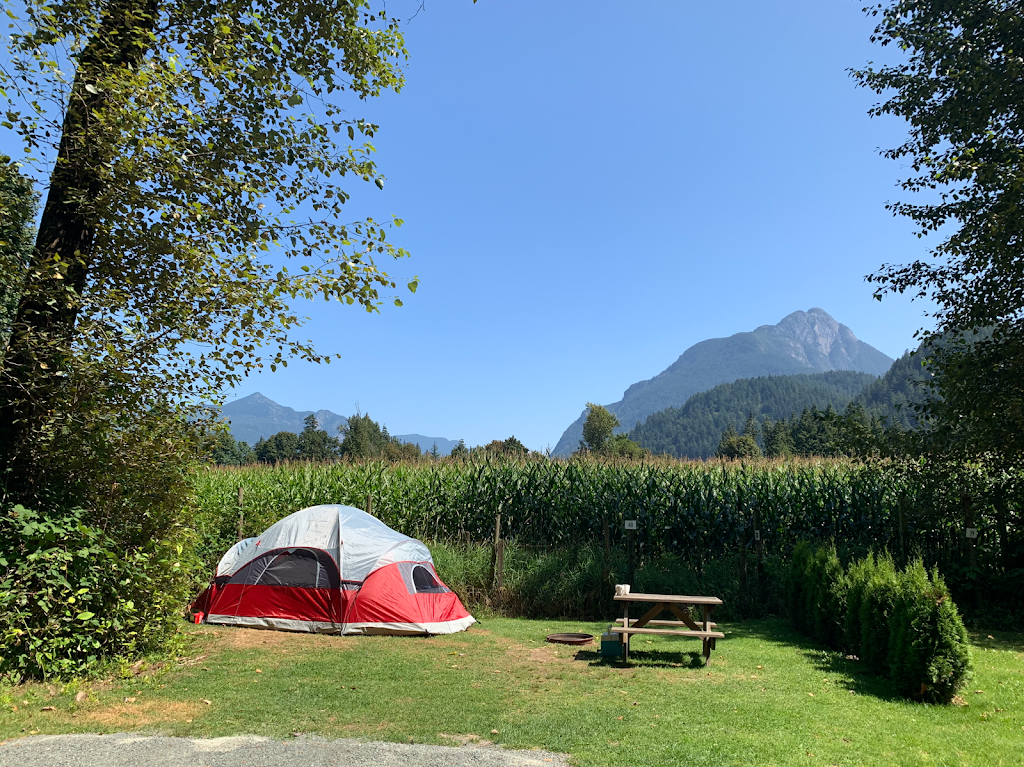 WildRose Campground & RV Park | 62030 Flood Hope Rd, Hope, BC V0X 1L2, Canada | Phone: (604) 869-9842