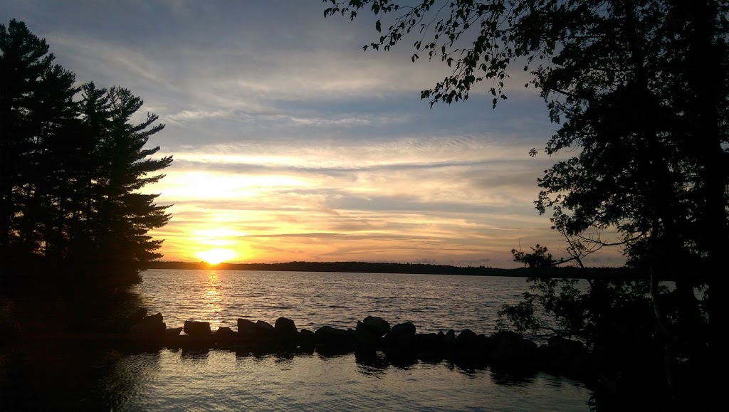 Cuddys Pine Cove | 1509 Gull Lake Ln, North Frontenac, ON K0H 1B0, Canada | Phone: (613) 336-8135