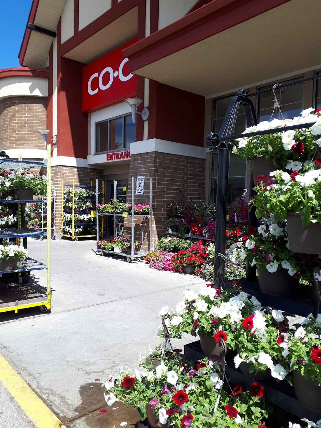Beddington Co-op | 8220 Centre St NE, Calgary, AB T3K 1J7, Canada | Phone: (403) 299-4445