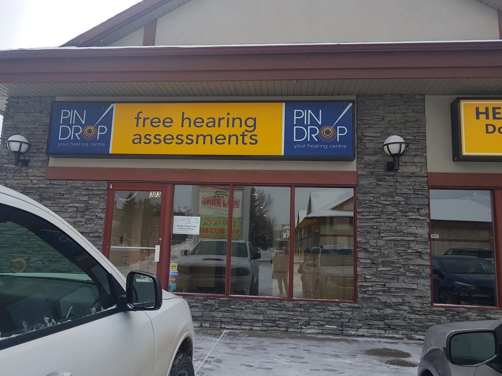 Pindrop Hearing Centre-Avenida | 12100 Macleod Trail SE, Calgary, AB T2J 7G9, Canada | Phone: (403) 278-0244