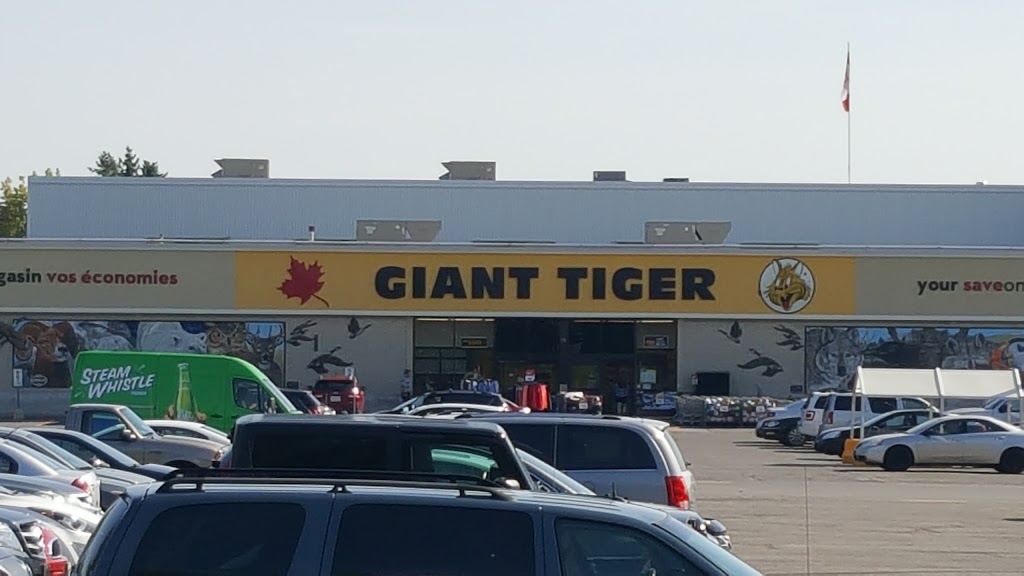 Giant Tiger | 2480 Walkley Rd, Ottawa, ON K1G 6A9, Canada | Phone: (613) 526-2416