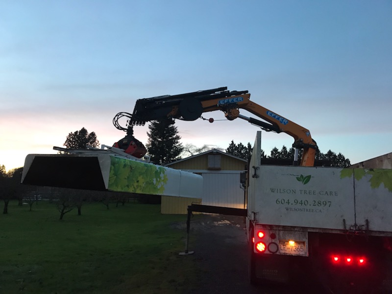 Wilson Tree Care | 5551 Admiral Way #99, Delta, BC V4K 0C9, Canada | Phone: (604) 940-2897
