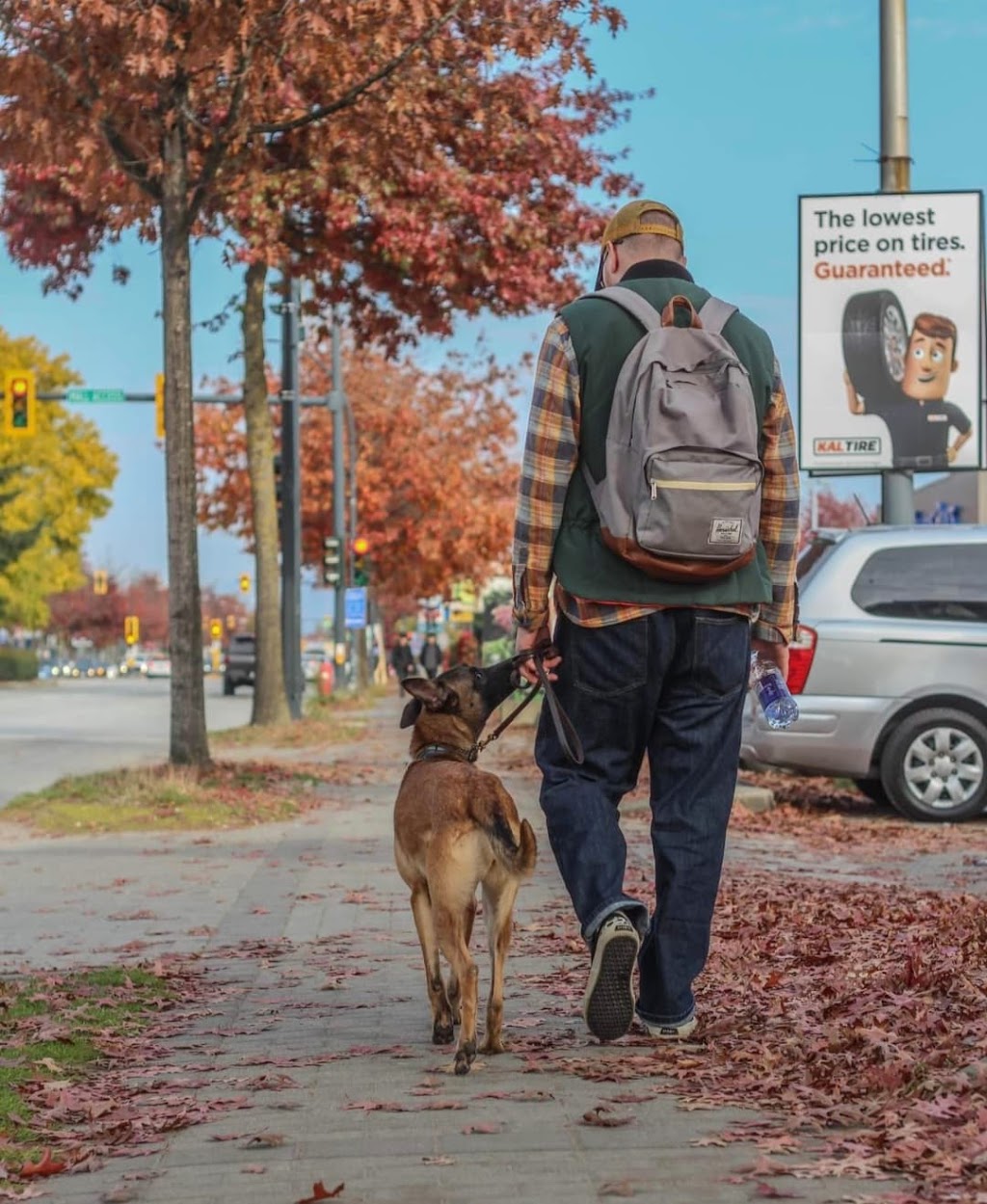 Ideal Canine | 33717 6 Ave, Mission, BC V2V 2A5, Canada | Phone: (778) 347-1884