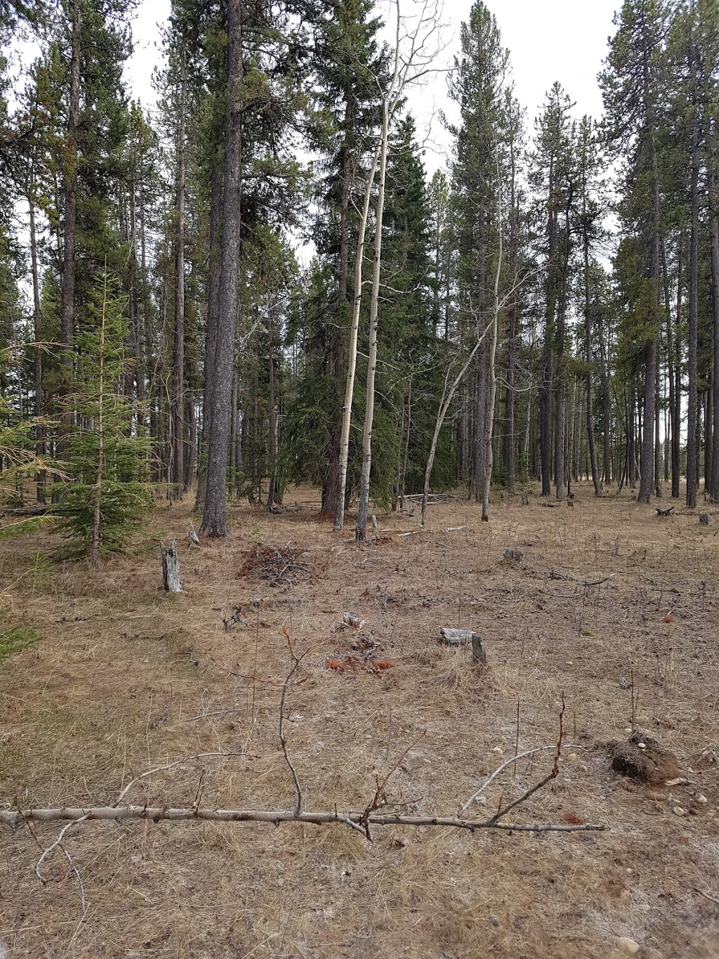 Camp Winchell Coulee | Mountain View County, AB T0L, Canada