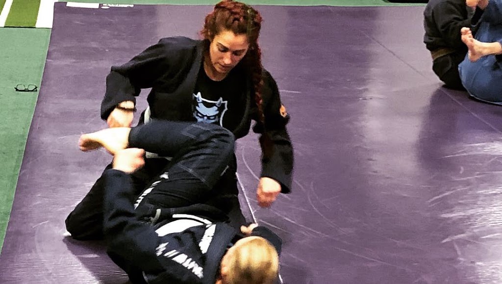 Blue Devil jiu jitsu | 69317 Main St, Richmond, MI 48062, USA | Phone: (810) 892-3202