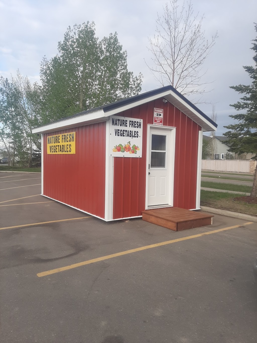 Nature fresh vegetables | 300 Merganser Dr W, Chestermere, AB T1X 1L6, Canada | Phone: (403) 892-6552