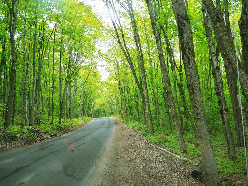 Muskoka Beach Park | 1141 Muskoka Beach Rd, Gravenhurst, ON P1P 1R1, Canada | Phone: (705) 687-3412