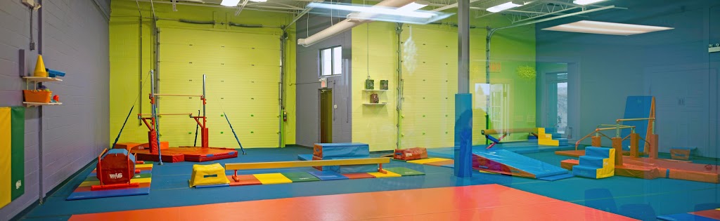 The Little Gym of Oakville, Ontario | 2172 Wyecroft Rd Unit 23, Oakville, ON L6L 6R1, Canada | Phone: (905) 815-8151