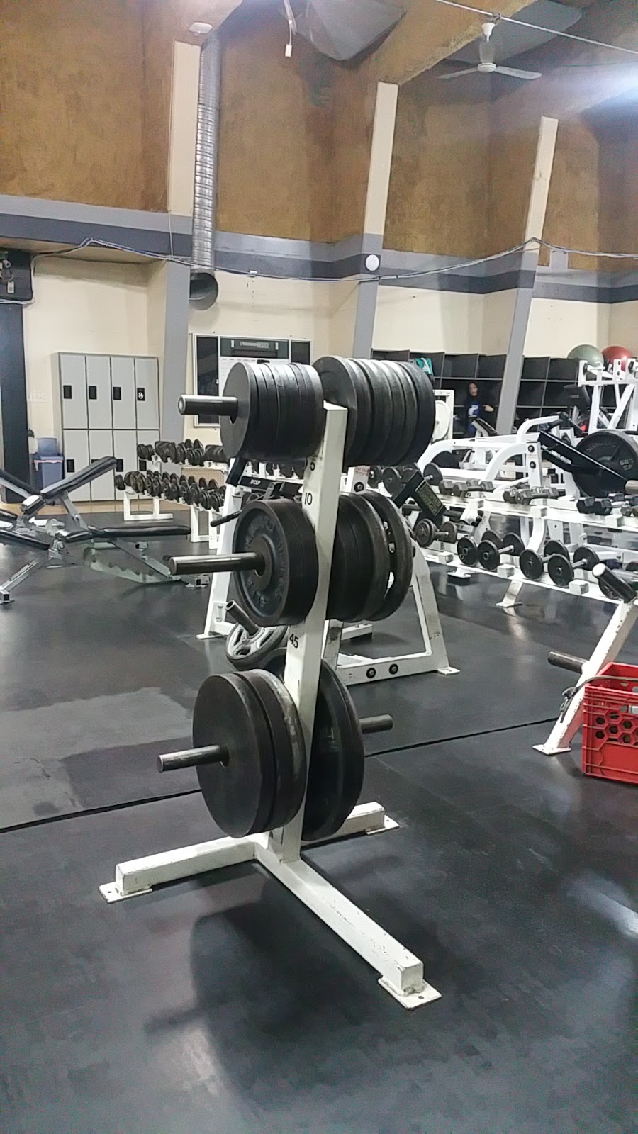 Fitness 2000 Athletic Club | 9304 Salish Ct, Burnaby, BC V3J 7C5, Canada | Phone: (604) 421-4554