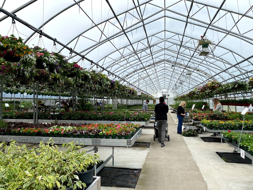 Muldoon Greenhouses Ltd. | point of interest | 346 Laurier Ave, Port Coquitlam, BC V3C 3V4, Canada | 6045520374 OR +1 604-552-0374