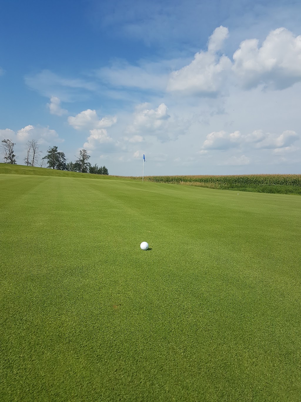 Triple Creek Golf Club | 241050, AB-814, Millet, AB T0C 1Z0, Canada | Phone: (780) 387-5760