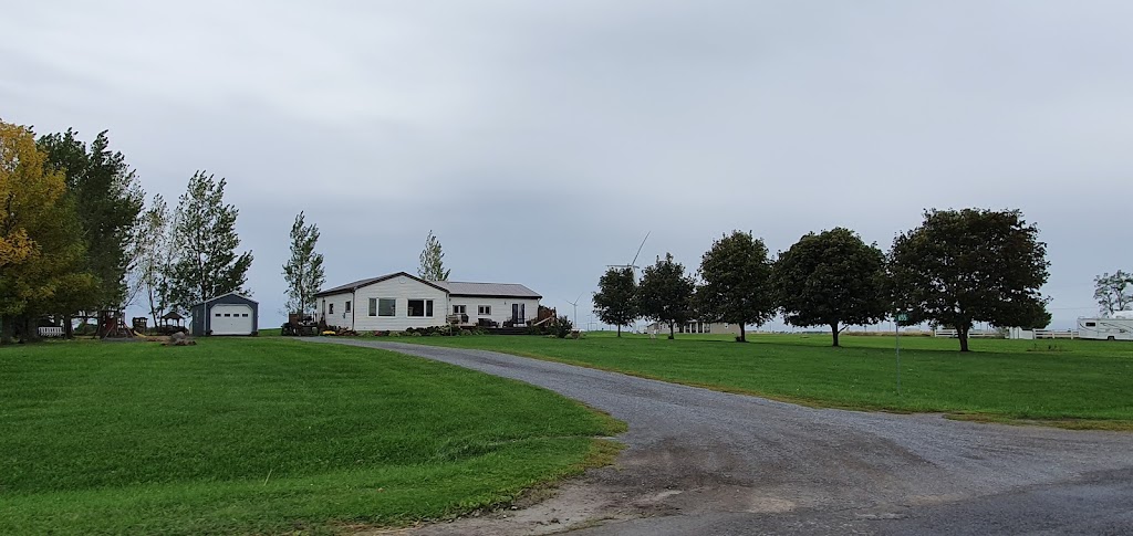 Blazing Saddles Farm | 433 County Rd 95, Wolfe Island, ON K0H 2Y0, Canada | Phone: (613) 572-5338