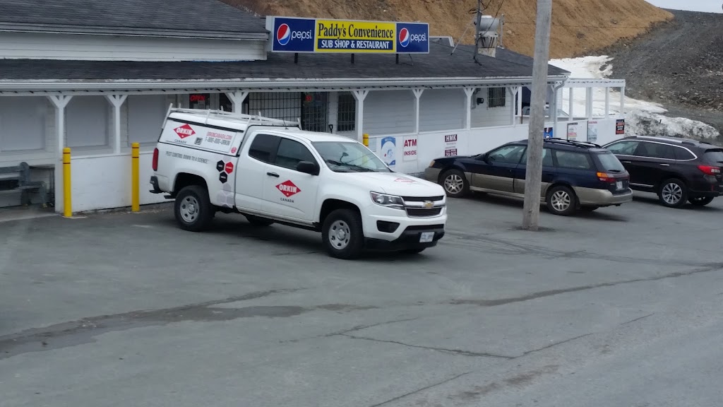 Paddys | Main Rd, Bay Bulls, NL A0A 1C0, Canada | Phone: (709) 334-2081
