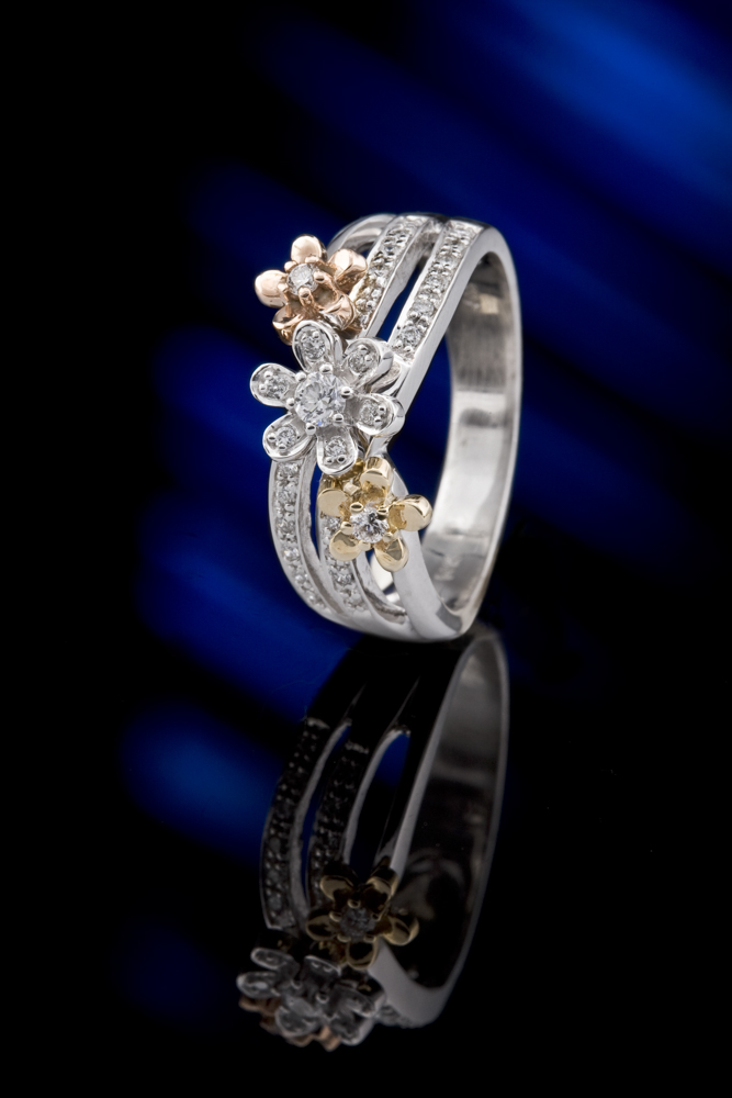 Peter Emmerson Photography Limited | 57 Bigham Crescent, Etobicoke, ON M9C 5C5, Canada | Phone: (416) 801-1947