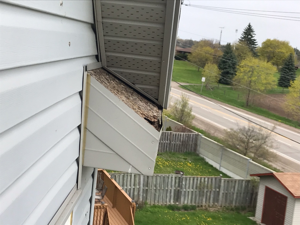 Xtermall Pest & Wildlife Control | 92 Northcliffe Crescent, Cambridge, ON N3C 4M7, Canada | Phone: (226) 505-4658