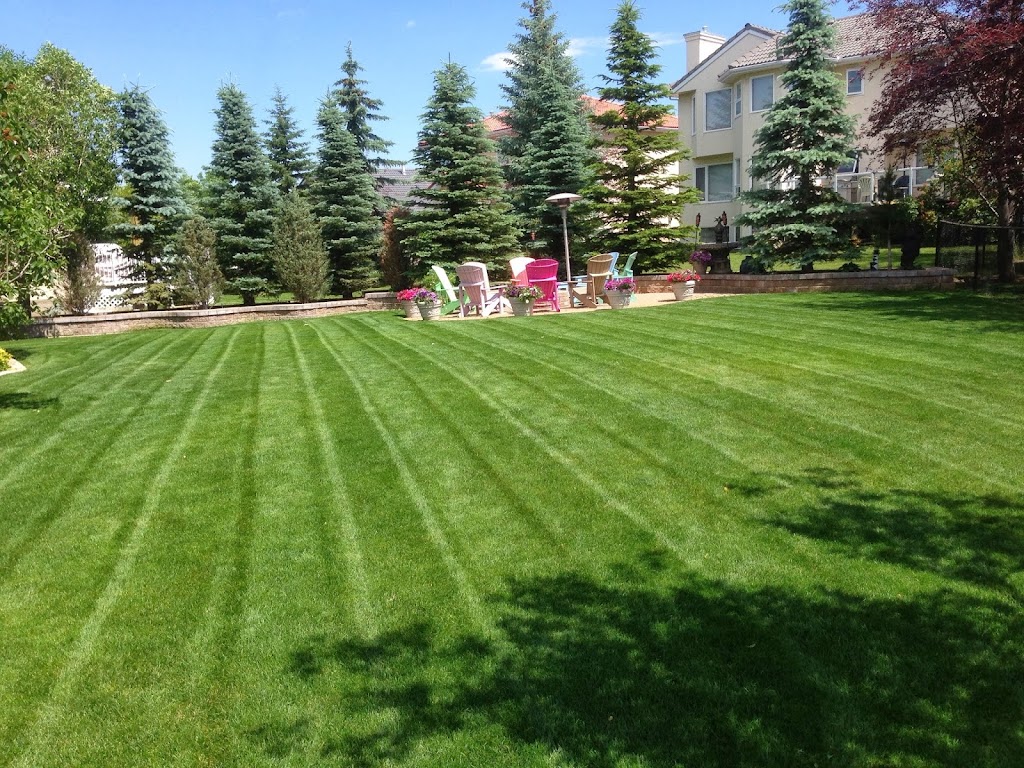 Green with Envy Lawn and Garden Care Ltd | 378 Sagewood Dr SW, Airdrie, AB T4B 3N2, Canada | Phone: (587) 360-3689