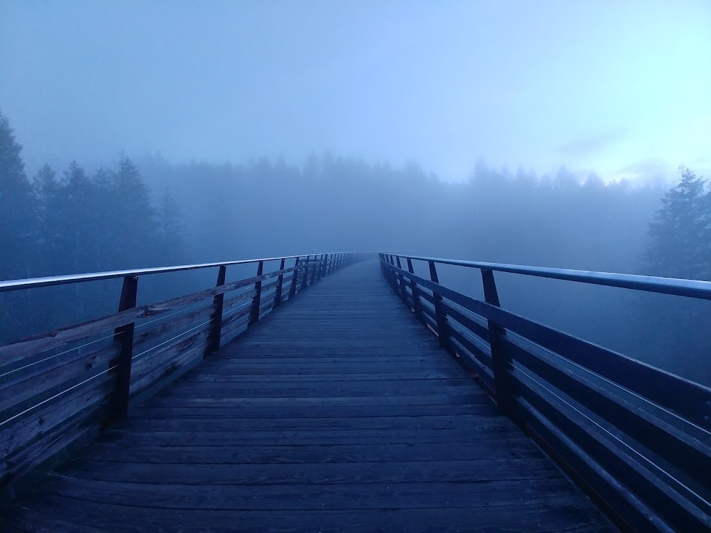 Finding Balance Hypnotherapy | 312 White St, Ladysmith, BC V9G 1B7, Canada | Phone: (250) 504-0341