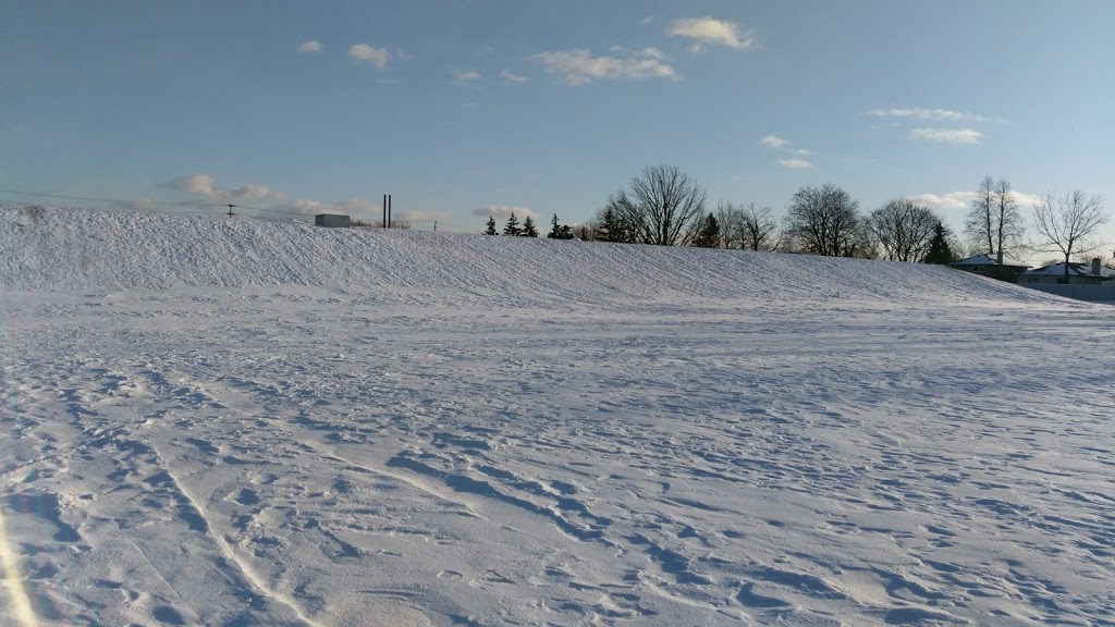 Bloor Athletic Field | 880 Lexicon Dr, Mississauga, ON L4Y 2P8, Canada