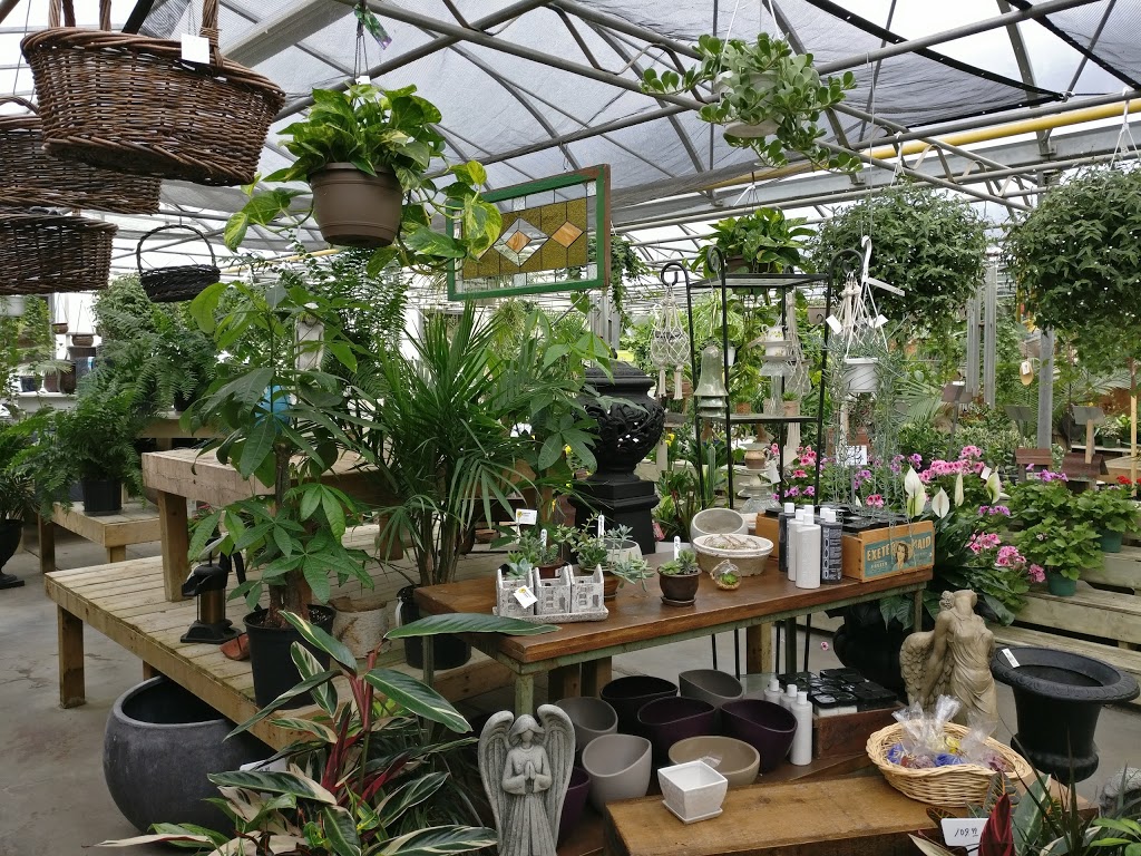 Orangeville Flowers & Greenhouses Ltd | 78 John St, Orangeville, ON L9W 2P8, Canada | Phone: (519) 941-2592