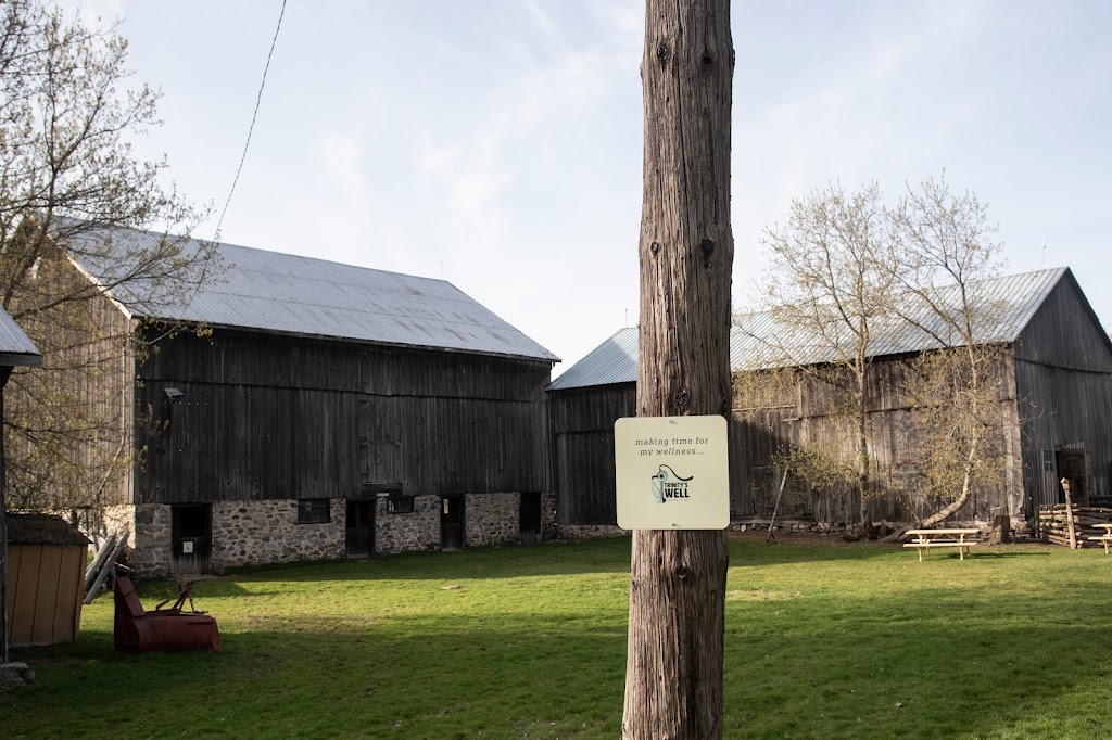 Trinitys Well | 18109 Duffys Ln, Palgrave, ON L7E 3C4, Canada | Phone: (905) 880-3222