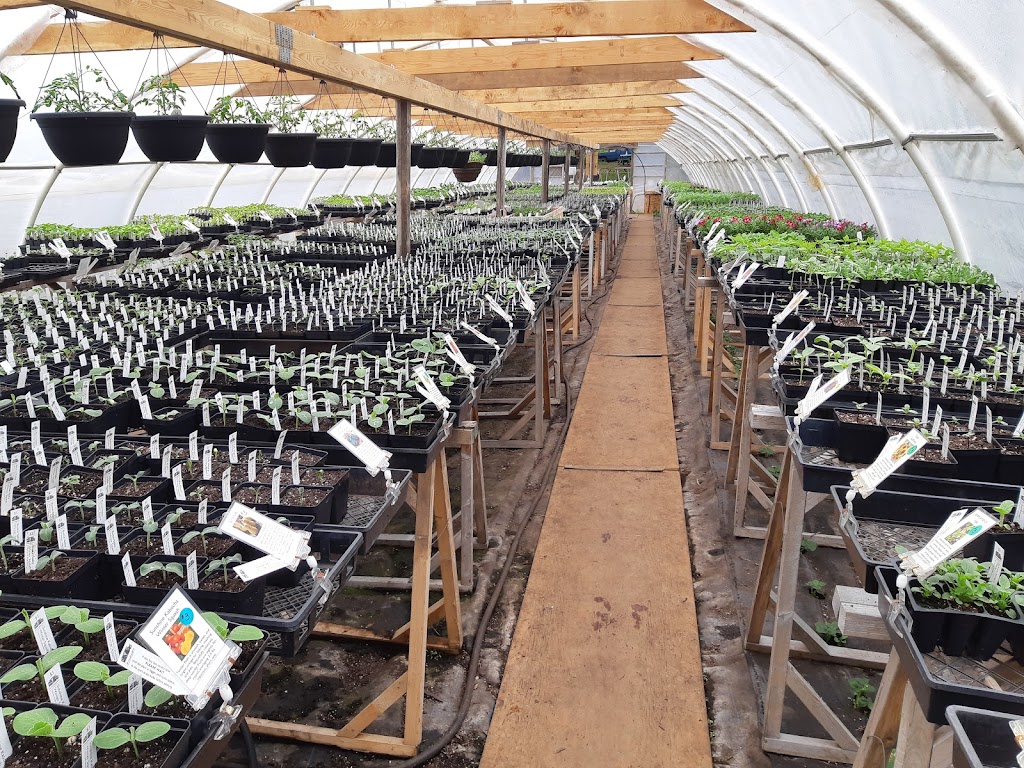 Chorus Frog Farm | 263 Rainbow Rd, Salt Spring Island, BC V8K 2M3, Canada | Phone: (250) 538-2216