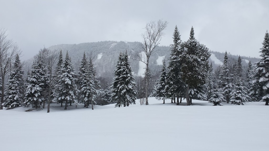 Club De Golf Du Mont Adstock | 120 Rte du Mont Adstock, Adstock, QC G0N 1S0, Canada | Phone: (418) 422-2242