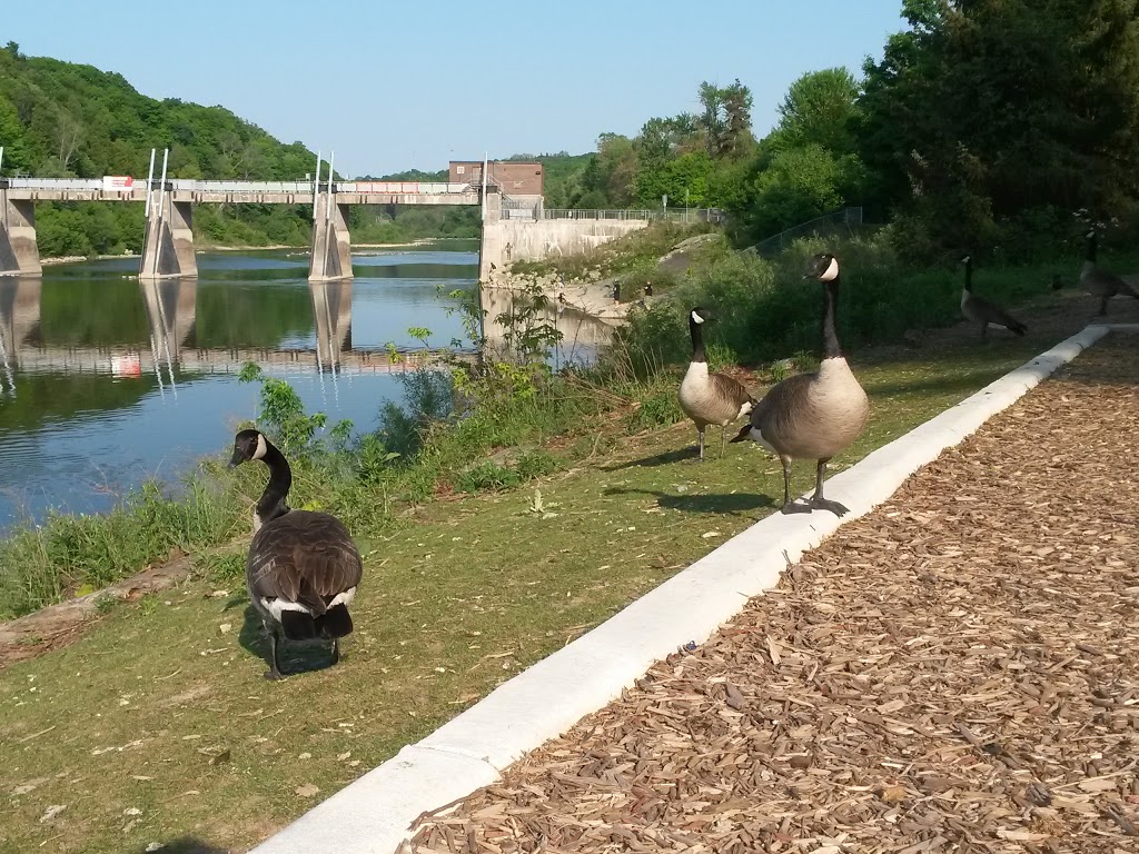 Riverbend Park | Riverbend Rd, London, ON N6K 4P7, Canada | Phone: (519) 661-5575