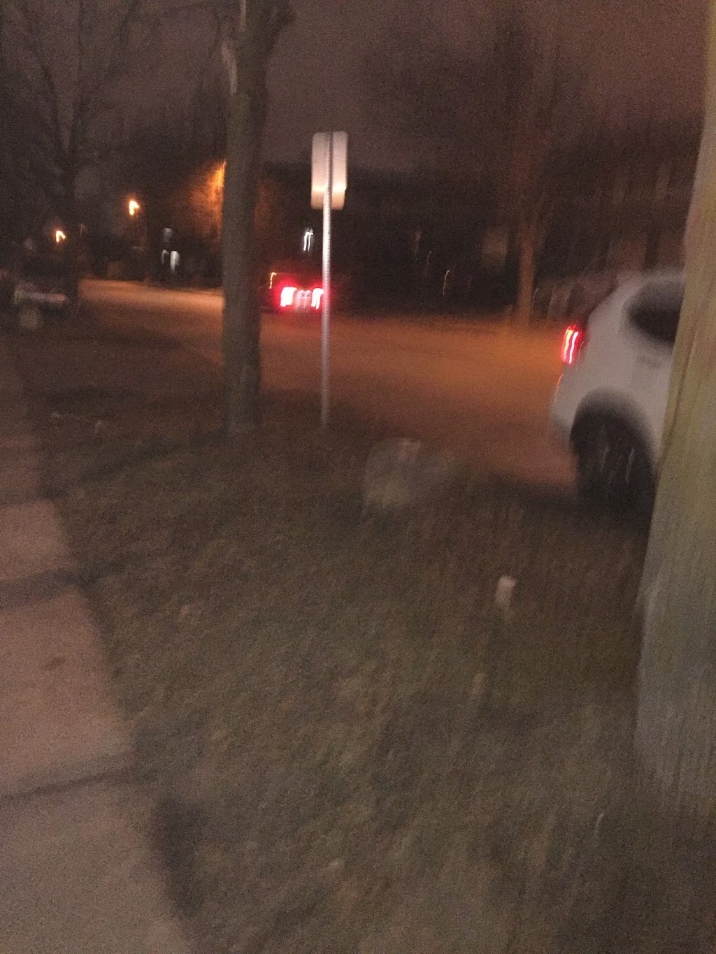 Ashurst Park | 98 Ashurst Crescent, Brampton, ON L6V 3N9, Canada