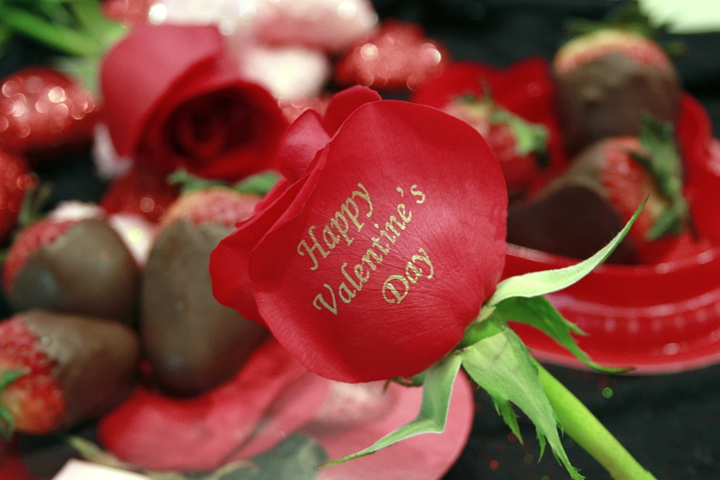 Say It FLOWER | 187 Queen Victoria Dr, Hamilton, ON L8W 1W6, Canada | Phone: (647) 786-2222