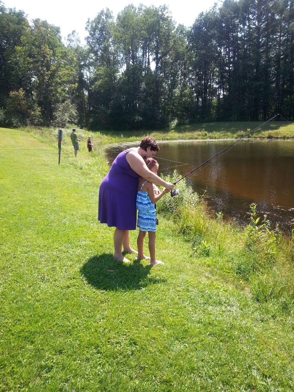 Sprague Brook County Park | 9674 Foote Rd, Glenwood, NY 14069, USA | Phone: (716) 592-2804