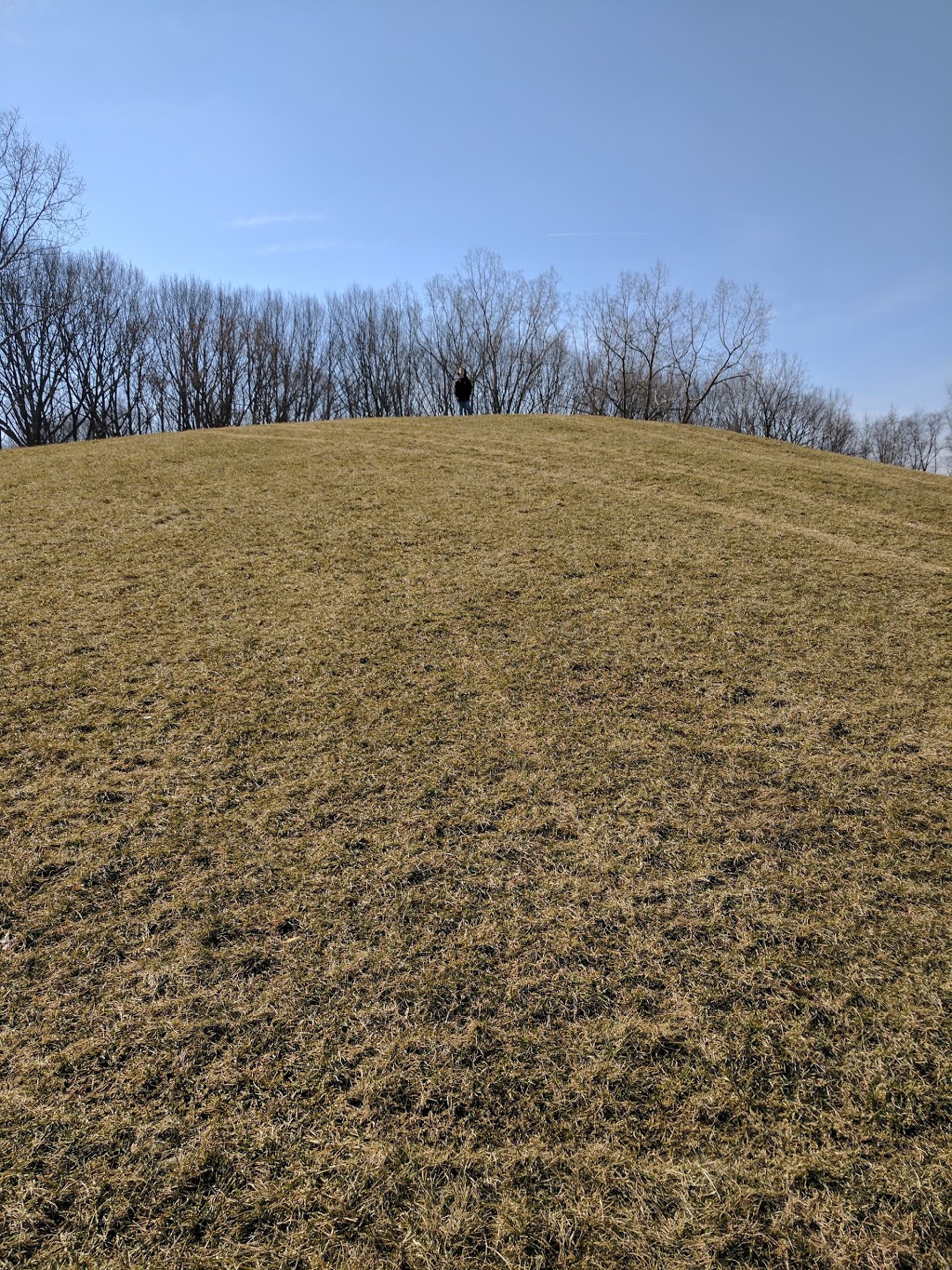 Maynard "Red" Aurand Memorial Park | 52701-, 52999 Huntley Ave, New Baltimore, MI 48047, USA | Phone: (586) 725-0291