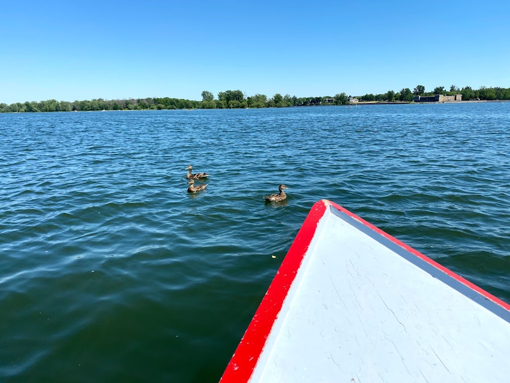 Locations Moto-Marine Sport | 1731 Av. Bourgogne, Chambly, QC J3L 1Y8, Canada | Phone: (450) 447-0617