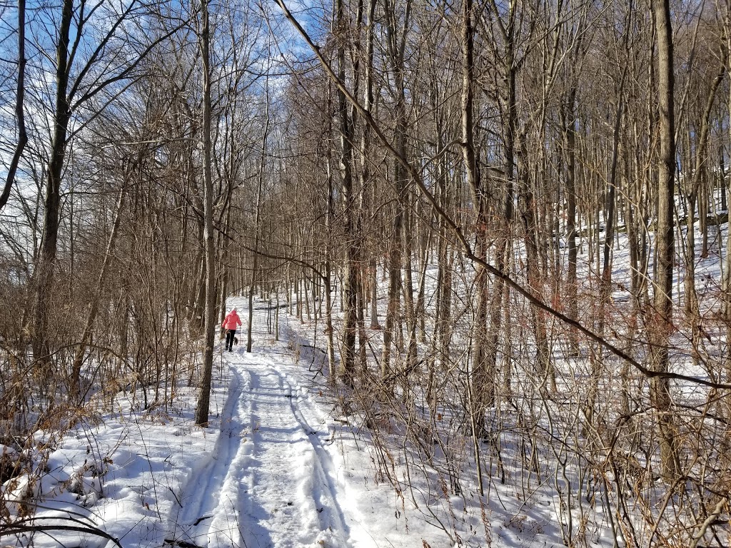 Woodend Conservation Area | 1 Taylor Rd, St. Catharines, ON L2V 3Y5, Canada | Phone: (905) 788-3135