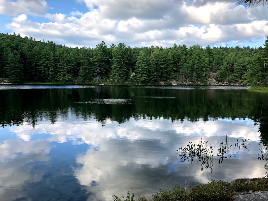 Rocher-à-lOiseau Trail | Chem. Schyan, Sheenboro, QC J0X 2Z0, Canada | Phone: (800) 665-5217