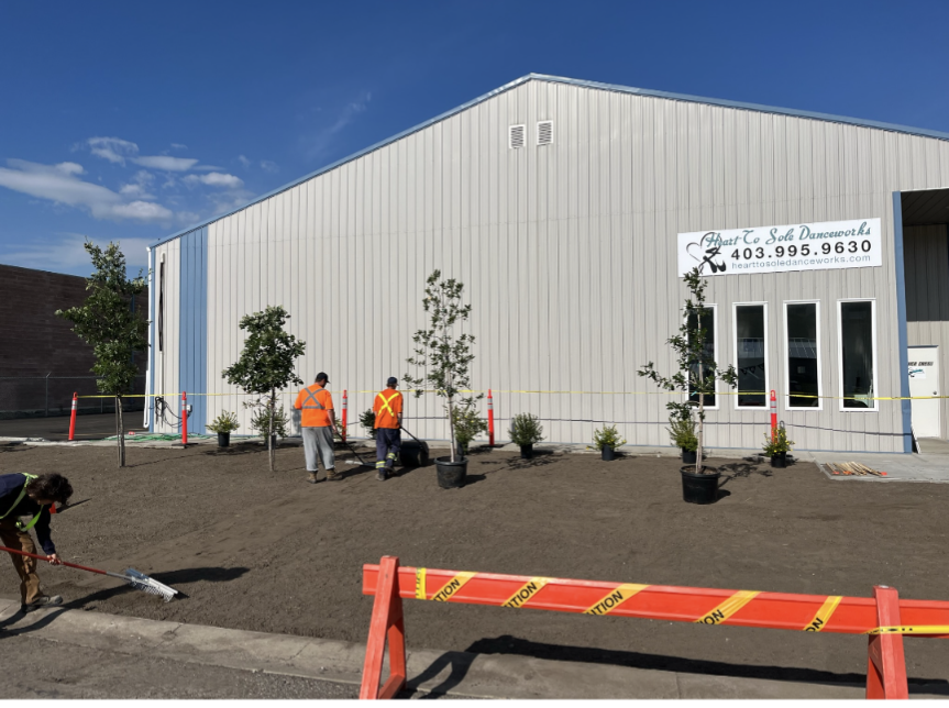 Absolute Landscapes LTD | 64062 393 Ave E Unit 24, Okotoks, AB T1S 0L1, Canada | Phone: (403) 874-4542
