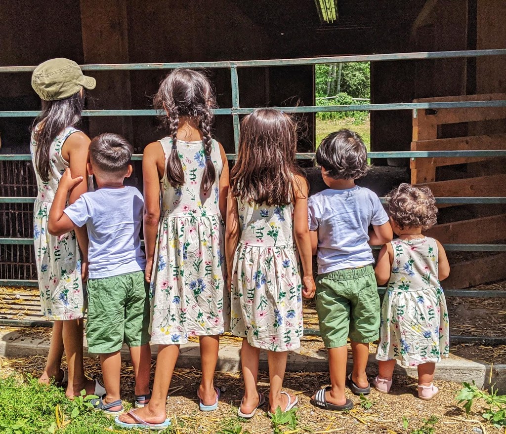 Meanwhile Blueberry Farm | 2779 Herald Rd, Sharon, ON L0G 1V0, Canada | Phone: (905) 392-7644