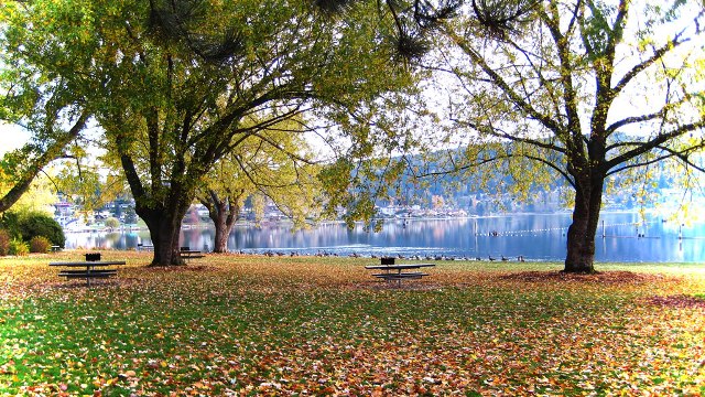 Bloedel Donovan Park | 2114 Electric Ave, Bellingham, WA 98229, USA | Phone: (360) 778-7000