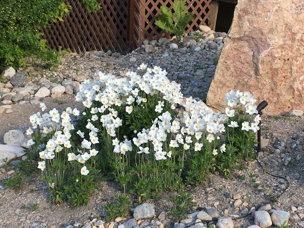 Cozy Corner Suites | 410 Elizabeth Ave, Manitou Beach, SK S0K 4T1, Canada | Phone: (306) 570-7554