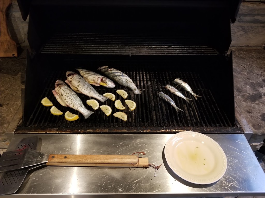 PROPANE CONCIERGE Inc. aka BBQGASGUYS.com | 1460 Whitehorse Rd, North York, ON M3J 3A7, Canada | Phone: (647) 469-8265